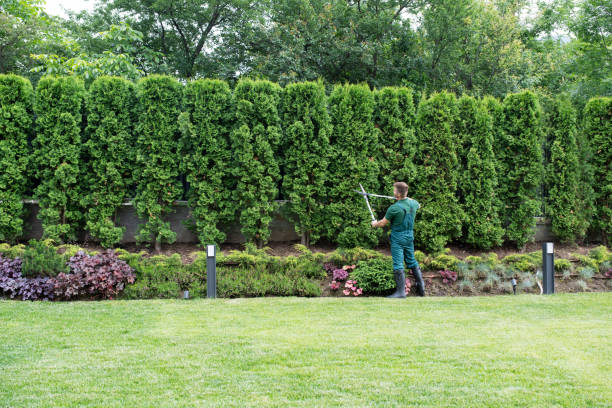 Artificial Turf Installation in Suffield Depot, CT